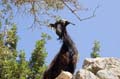 05 - Kreta - Ag. Rumeli - Auf dem Weg zum Samaria Nationalpark -   DSC_9779